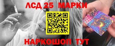 сатива Кингисепп