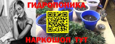 тгк Кимры