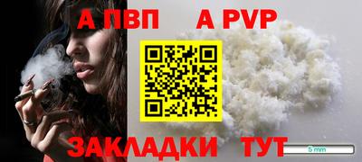 сатива Кингисепп
