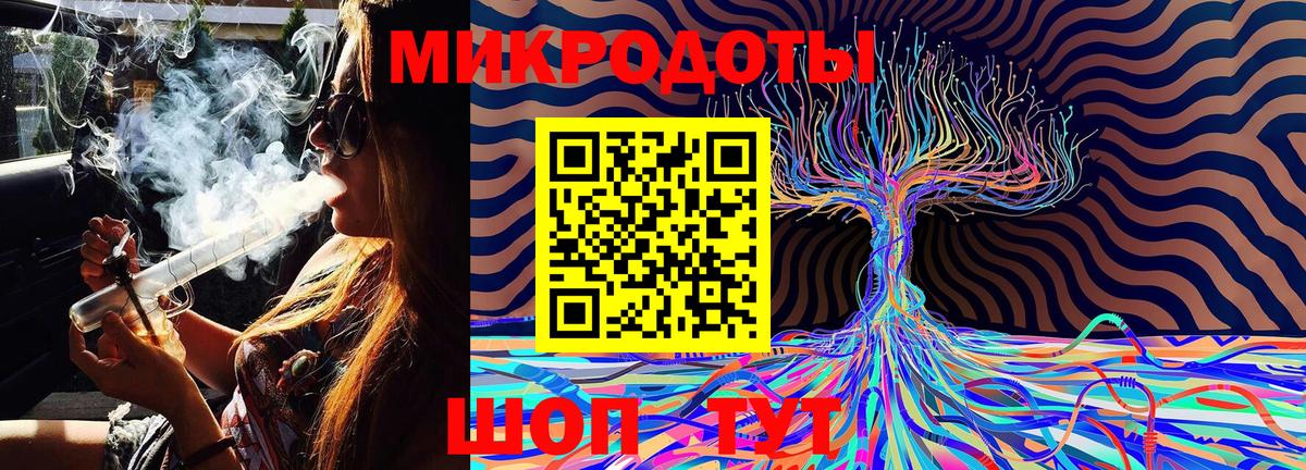 Псилоцибиновые грибы Cubensis Красноармейск